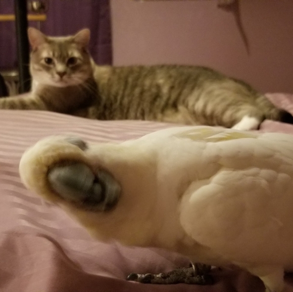 Everything and Anything - Picture 6 of 7